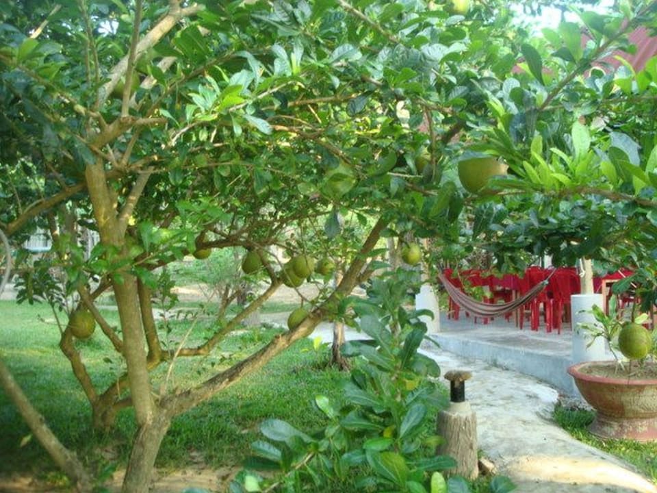Mai Phuong Resort Mai Phuong Resort Phu Quoc