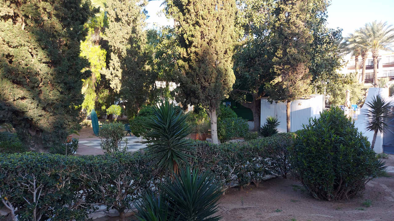 Gartenanlage Marhaba Royal Salem