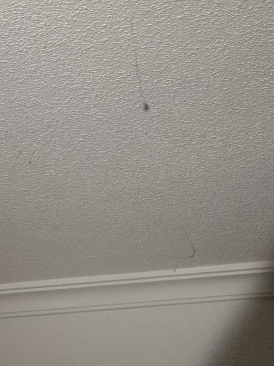 Zimmer Green Garden Aparthotel