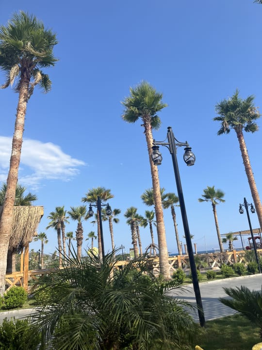 Gartenanlage Serenity Queen Hotel