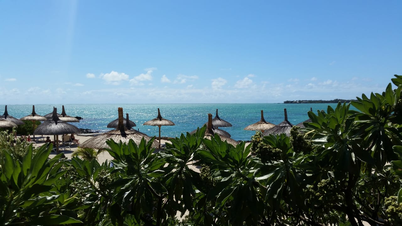 Ausblick Lagoon Attitude - Adults only