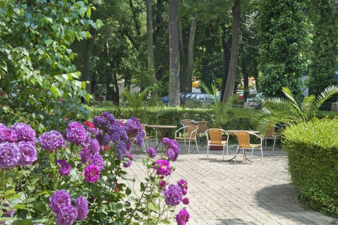 Сад Hotel Regina Jassen II