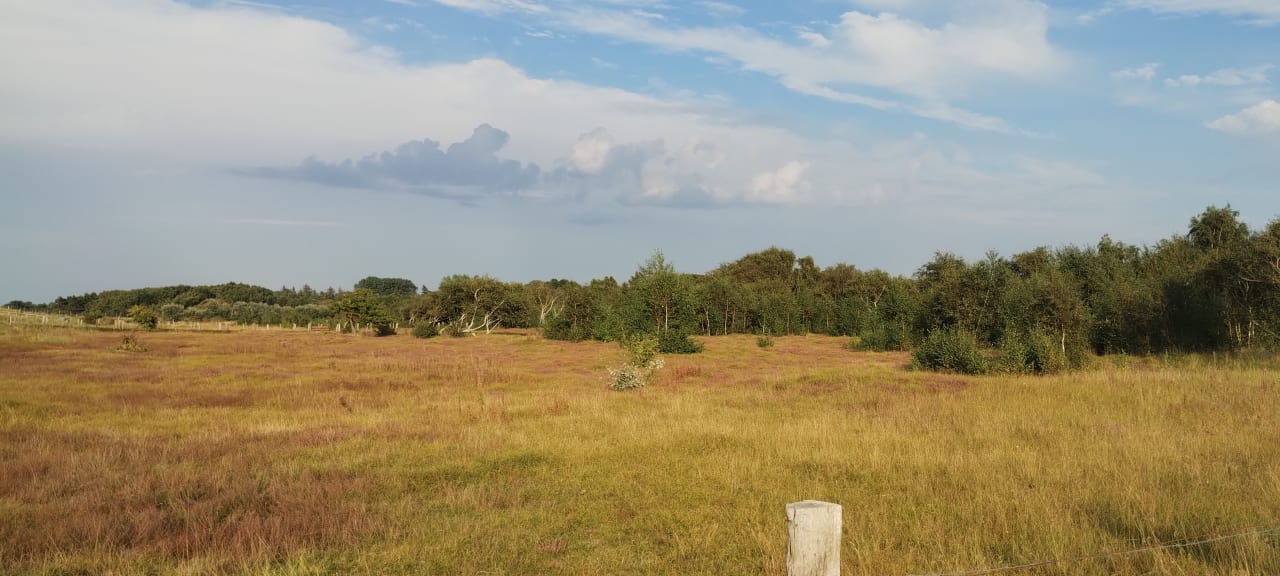 Außenansicht Appartements im Freizeitpark Weissenhäuser Strand