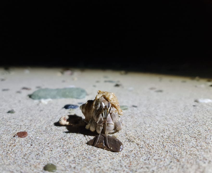 Sonstiges Mövenpick Resort El Quseir