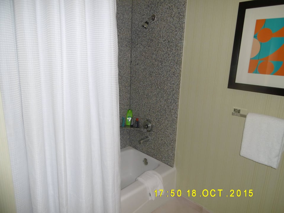 Bad Hotel Circus Circus