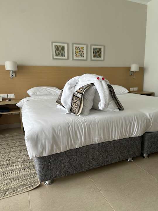 Zimmer JAZ Elite Asteria