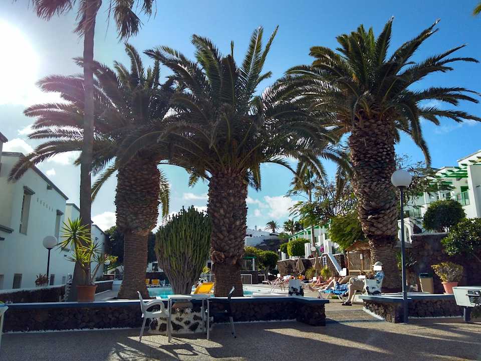 Ruhig und gemütlich zum Relaxen Apartamentos Guacimeta