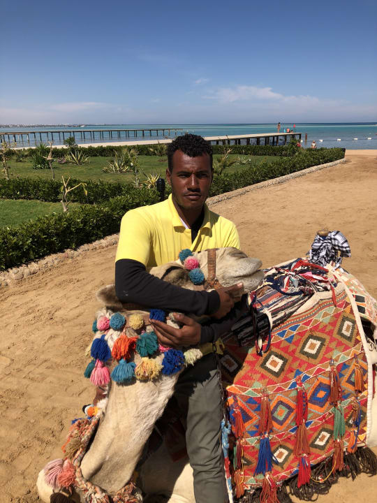 Strand Riviera Aqua Park Resort