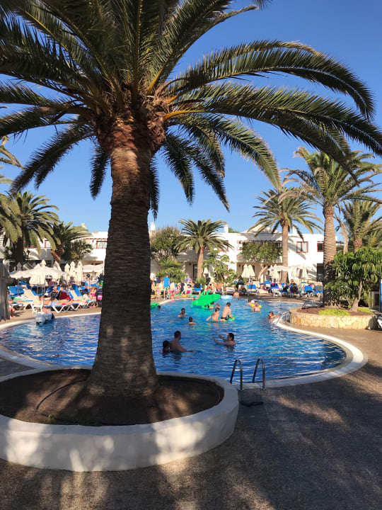 Pool Alua Suites Fuerteventura