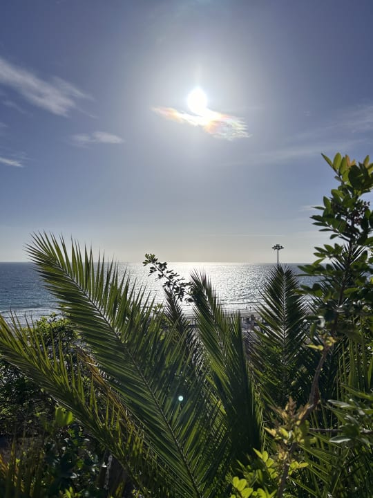 Ausblick Hotel Riu Palace Palmeras