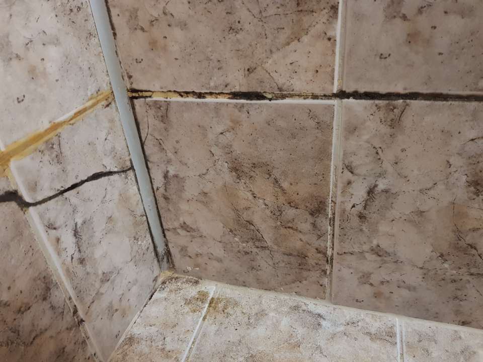 Zimmer Paraizo Beach