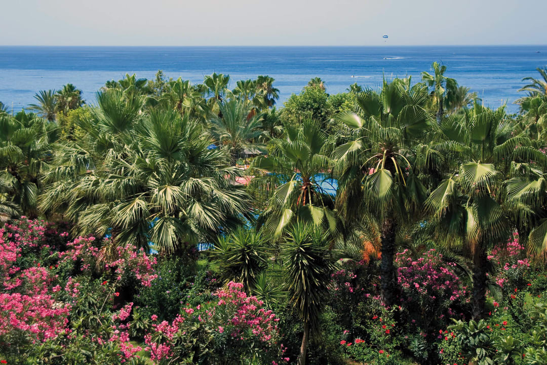 Gartenanlage Hotel Defne Garden