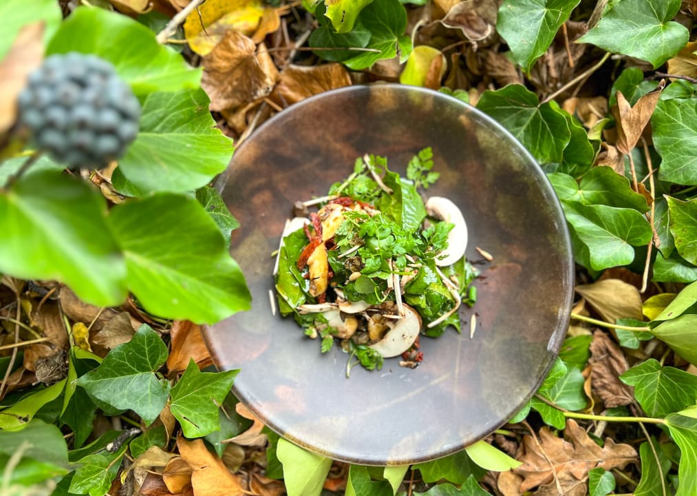 Gastro Hotel Schloss Wartegg