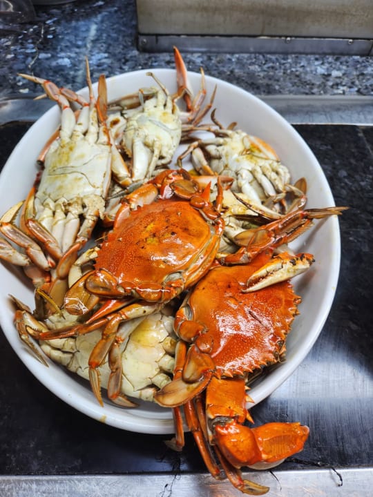 Gastro Hotel El Borj