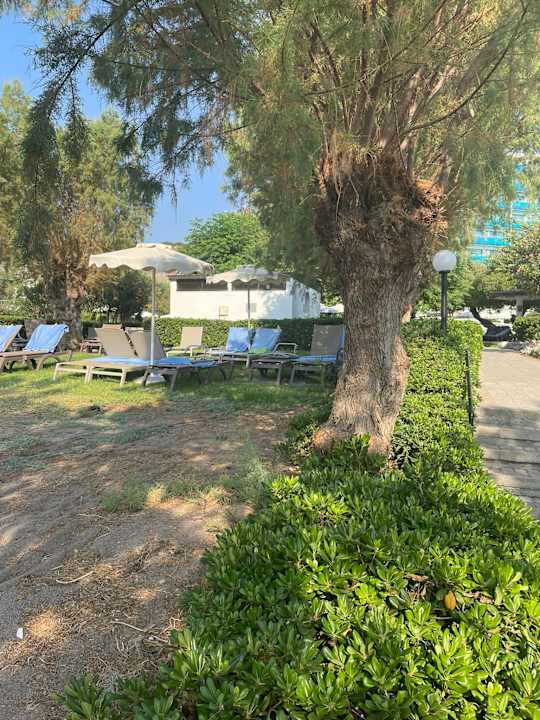 Gartenanlage Hotel Calypso Beach