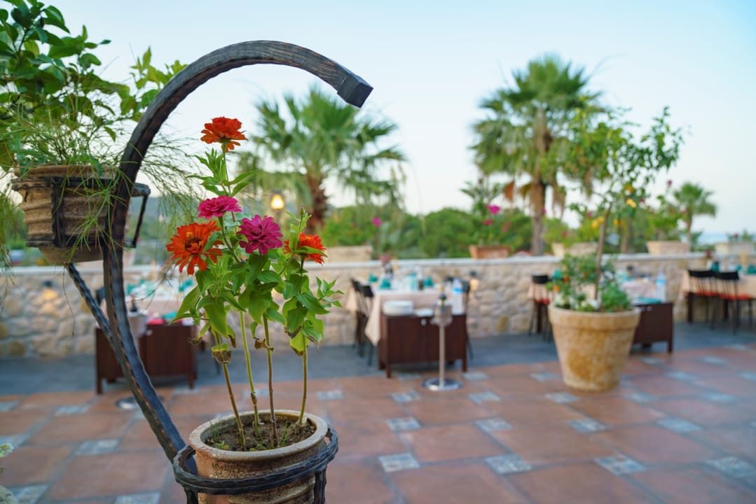 Gastro Pirate's Beach Club