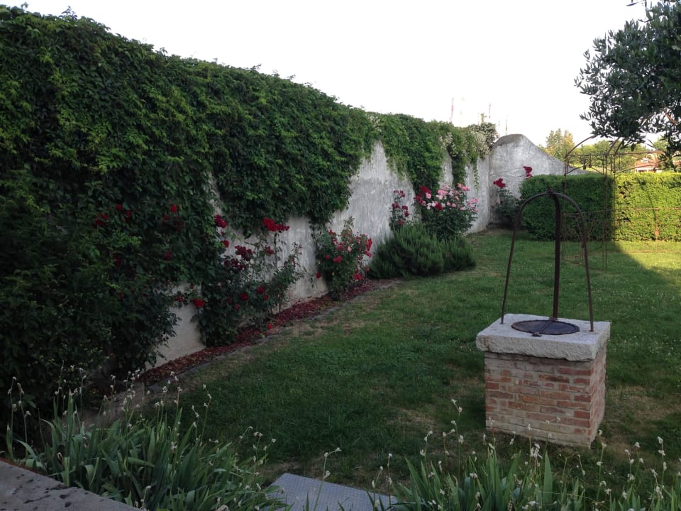 Roseto sul muro di ingresso Hotel Locanda Del Sant' Uffizio