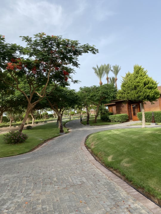 Gartenanlage Steigenberger ALDAU Beach Hotel