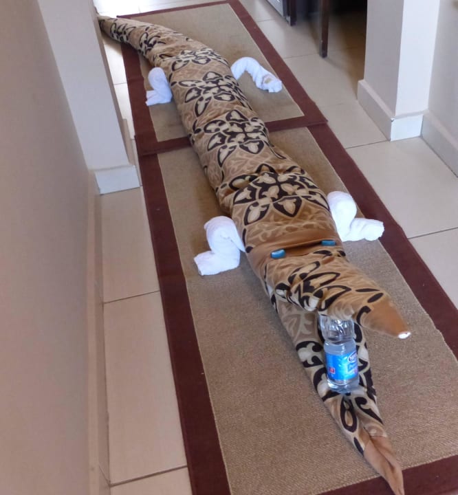 Liebevoller Empfang Jaz Dar EL Madina