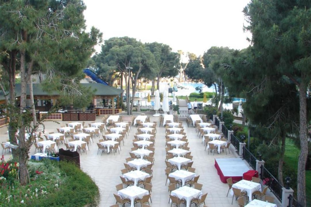  Hauptrestaurant Papillon Ayscha