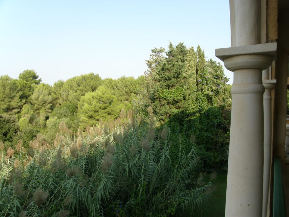 Ausblick Lago Garden