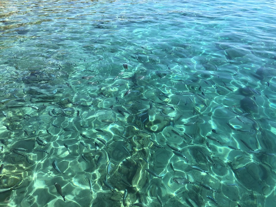 Strand Bodrum Holiday Resort & Spa