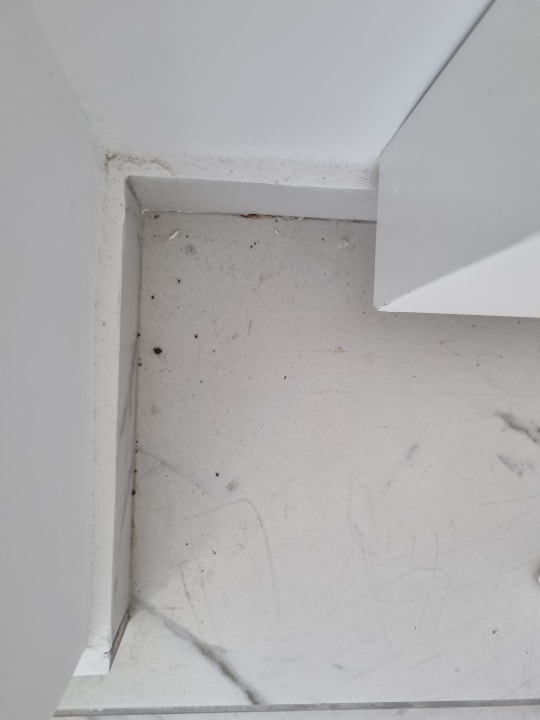 Zimmer Dimitra Beach Hotel & Suites