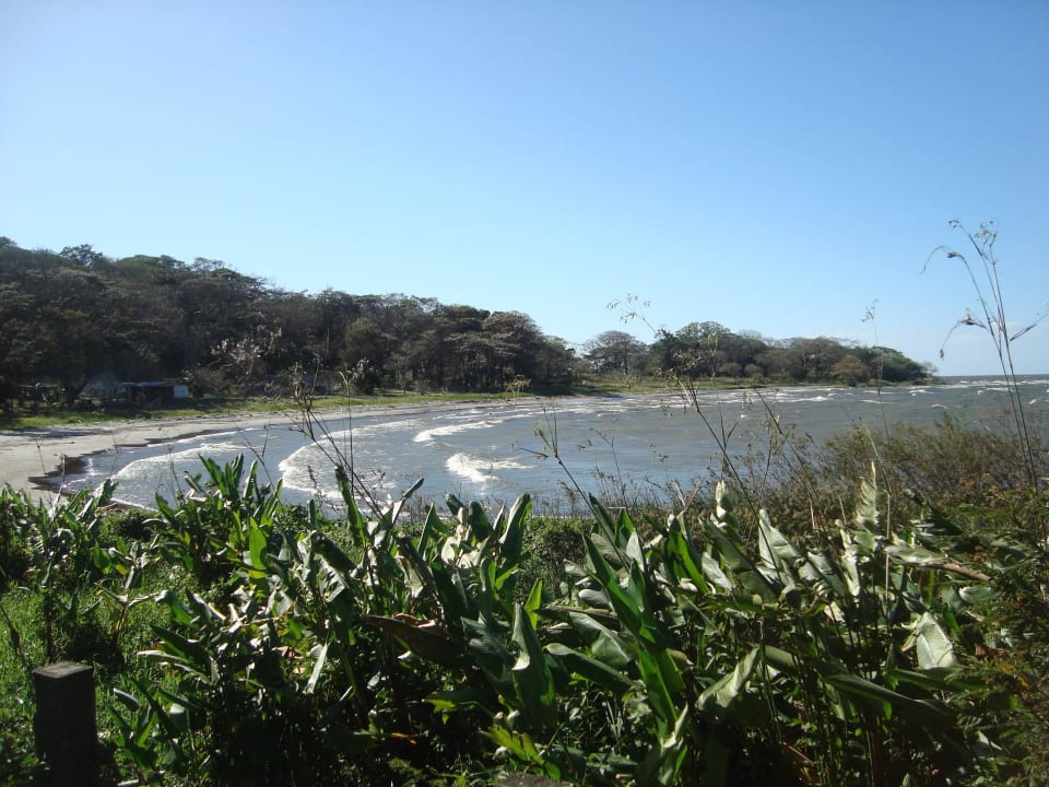 Strand - Lago Cocibolca Ecolodge Blue Morpho