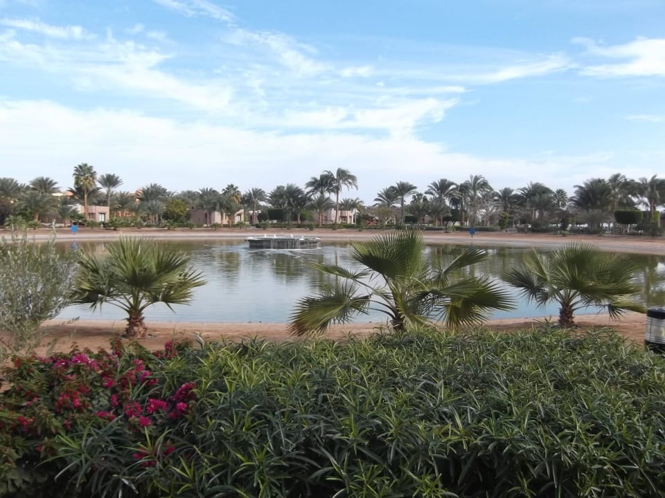 Blick pber den teich Pharaoh Azur Resort