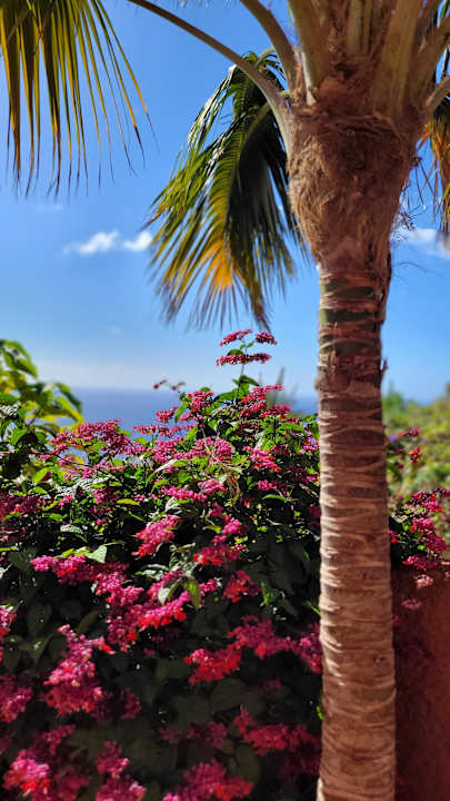 Gartenanlage Hotel Quinta Splendida Wellness & Botanical Garden