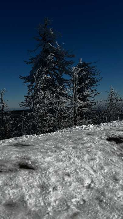 Sport & Freizeit Panoramic - Ihr Apartmenthotel im Harz