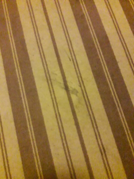 Sonstiges Hotel Resort Birkenhof Therme