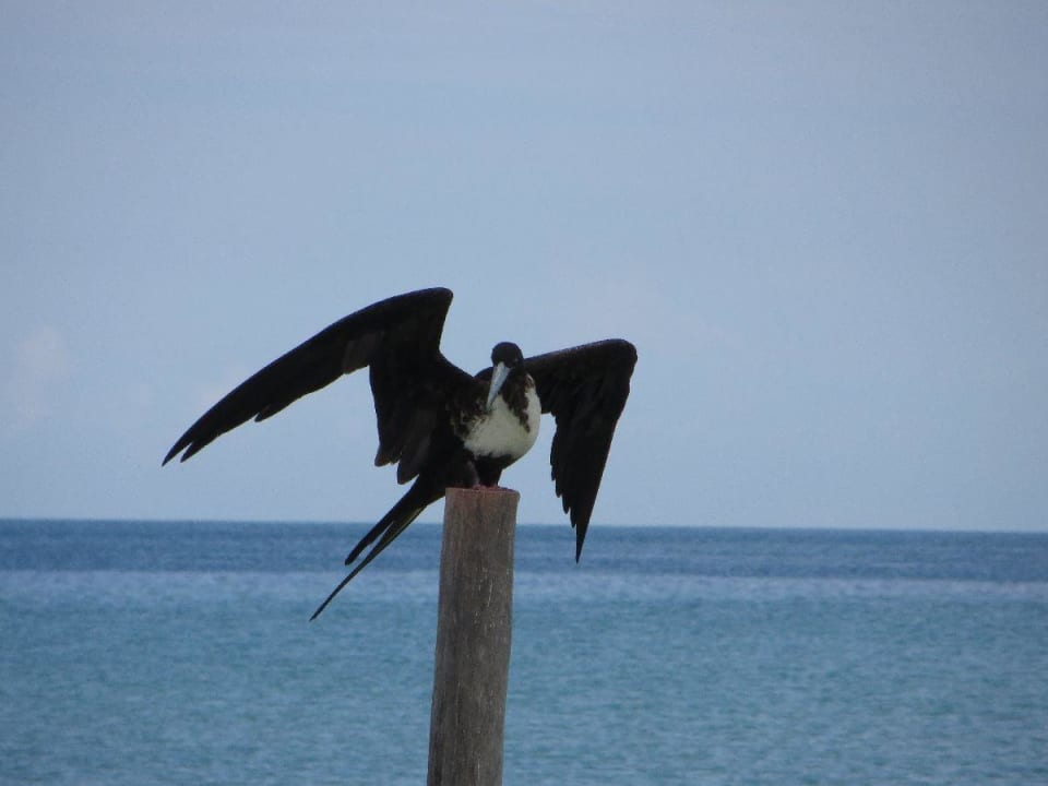 Selbsterklärend Hotel Villas Flamingos