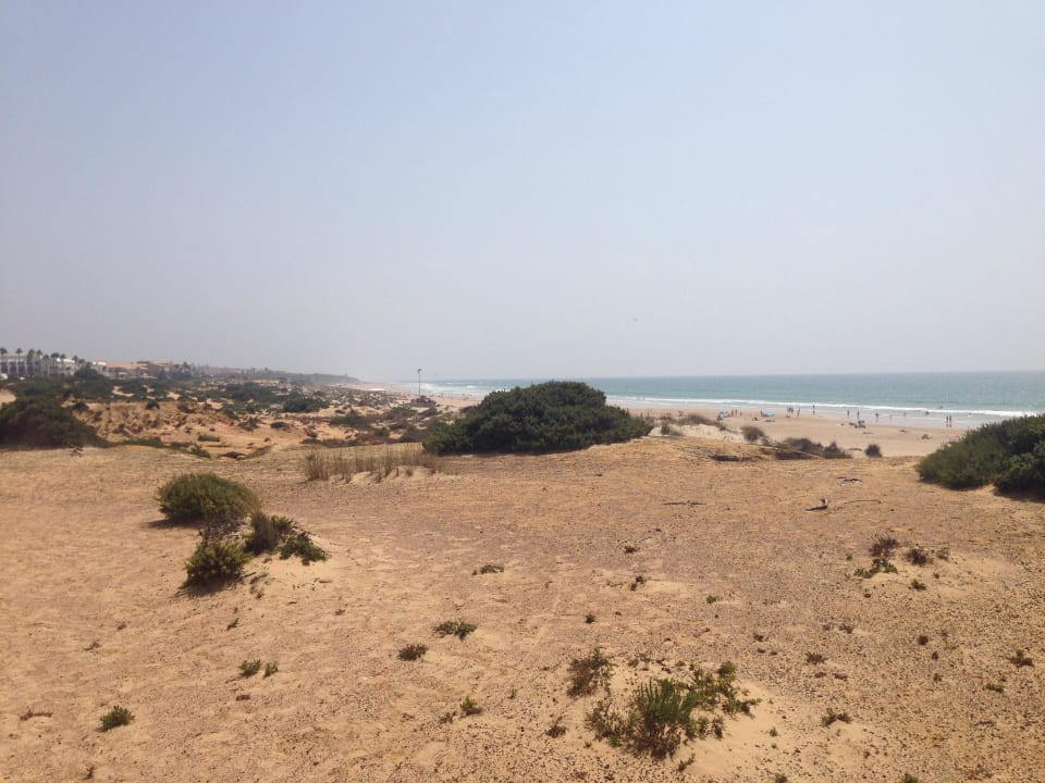 Blick zum Strand Hipotels Playa la Barrosa