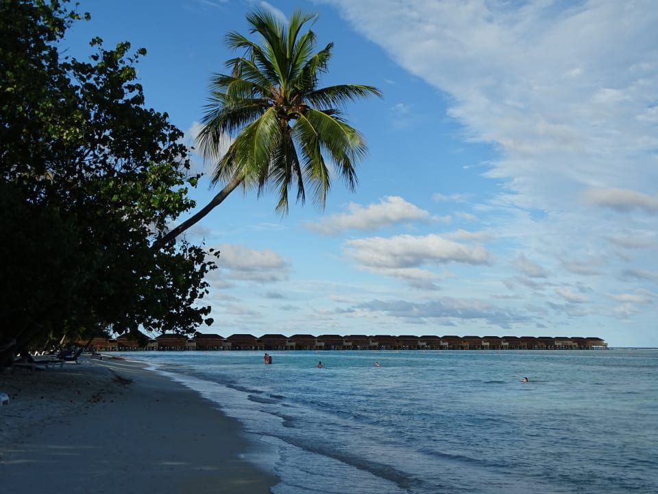 Strand Meeru Maldives Resort Island