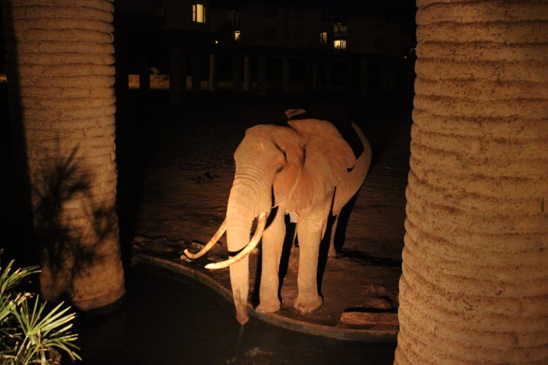 Beim Abendessen Salt Lick Safari Lodge