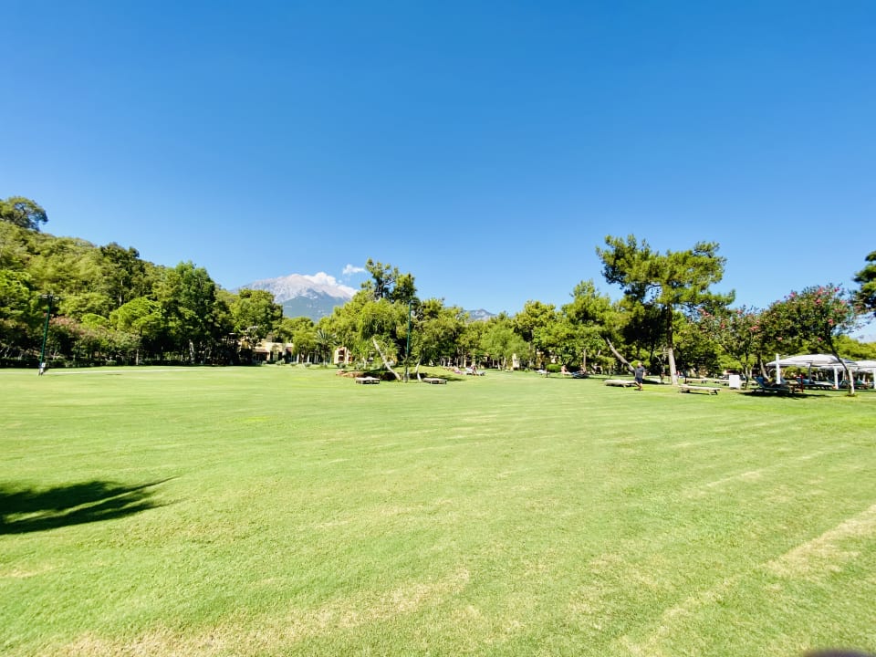 Garten ROBINSON ÇAMYUVA