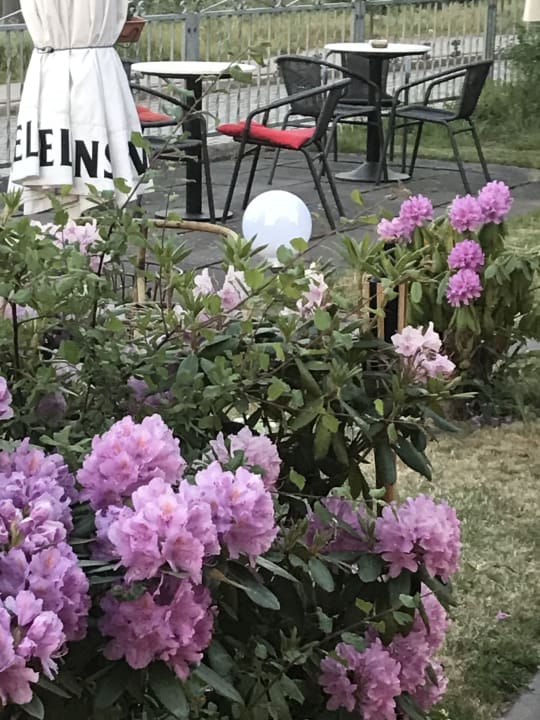 Gartenanlage Elbhotel am Hafen