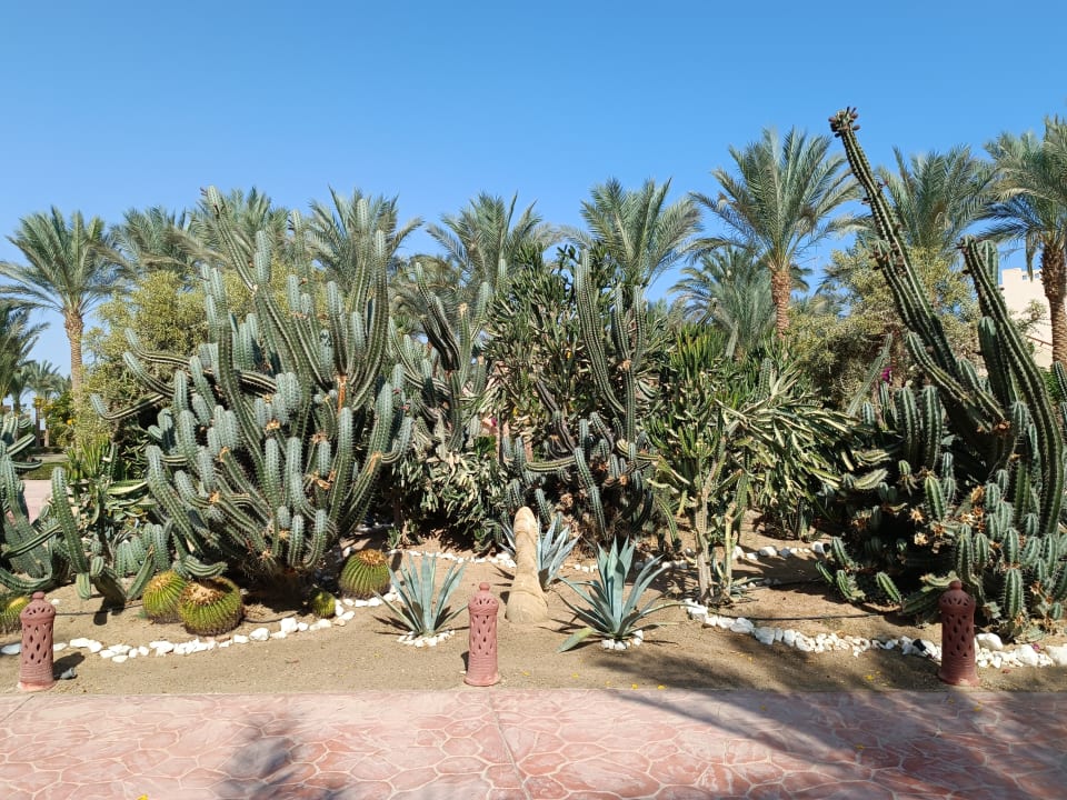 Gartenanlage Dream Lagoon Resort & Aqua Park