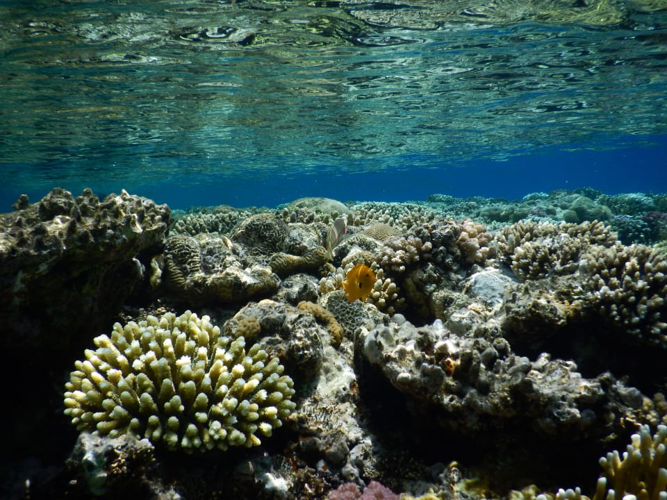 Strand JAZ Belvedere Resort