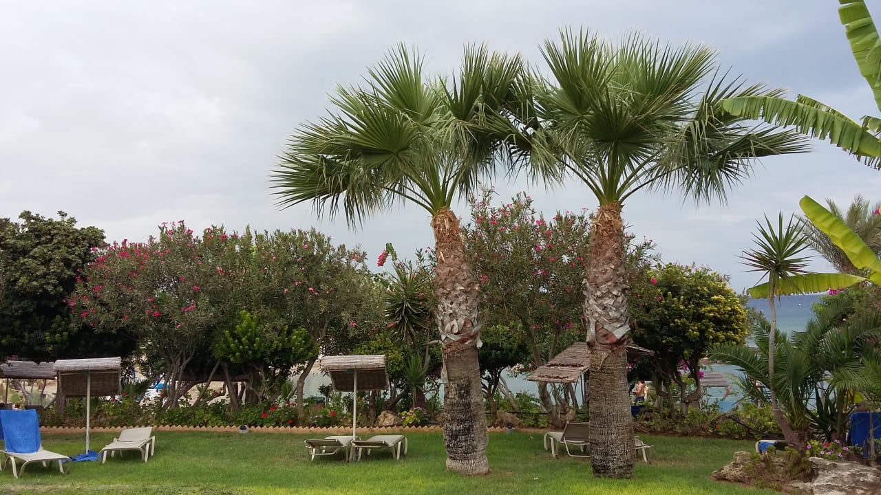 Außenansicht Crystal Springs Beach Hotel