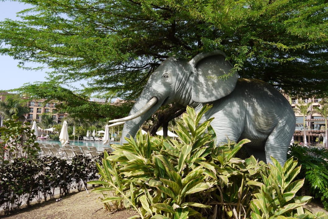 Baobab Lopesan Baobab Resort