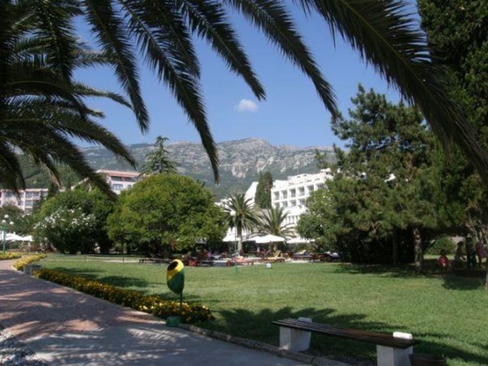 Widok na ogród Iberostar Waves Bellevue