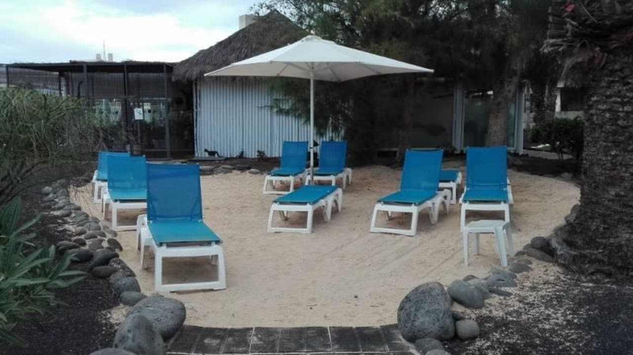 Sonnenliegenbereich mit Sand Dreams Lanzarote Playa Dorada Resort & Spa