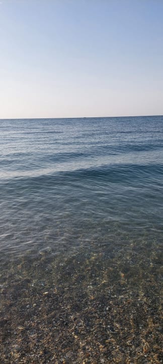 Ausblick Hotel Royal Garden Beach