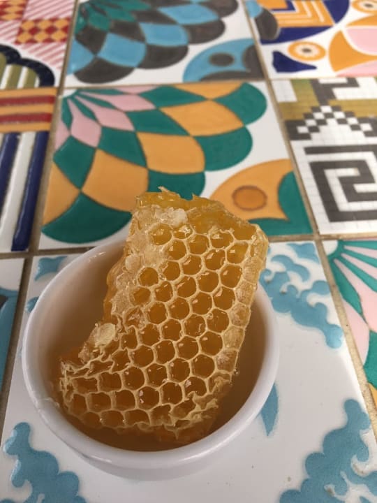 Gastro Lara Barut Collection