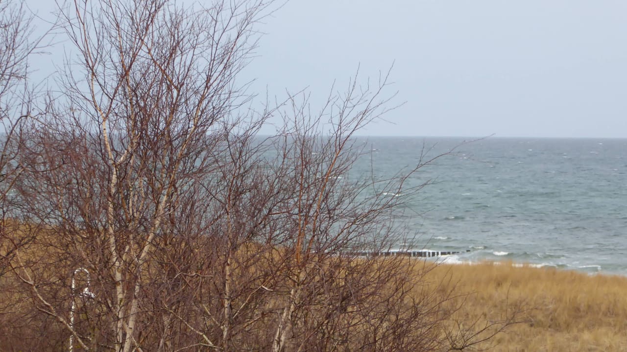 Blick aus dem Fenster Seehotel Düne