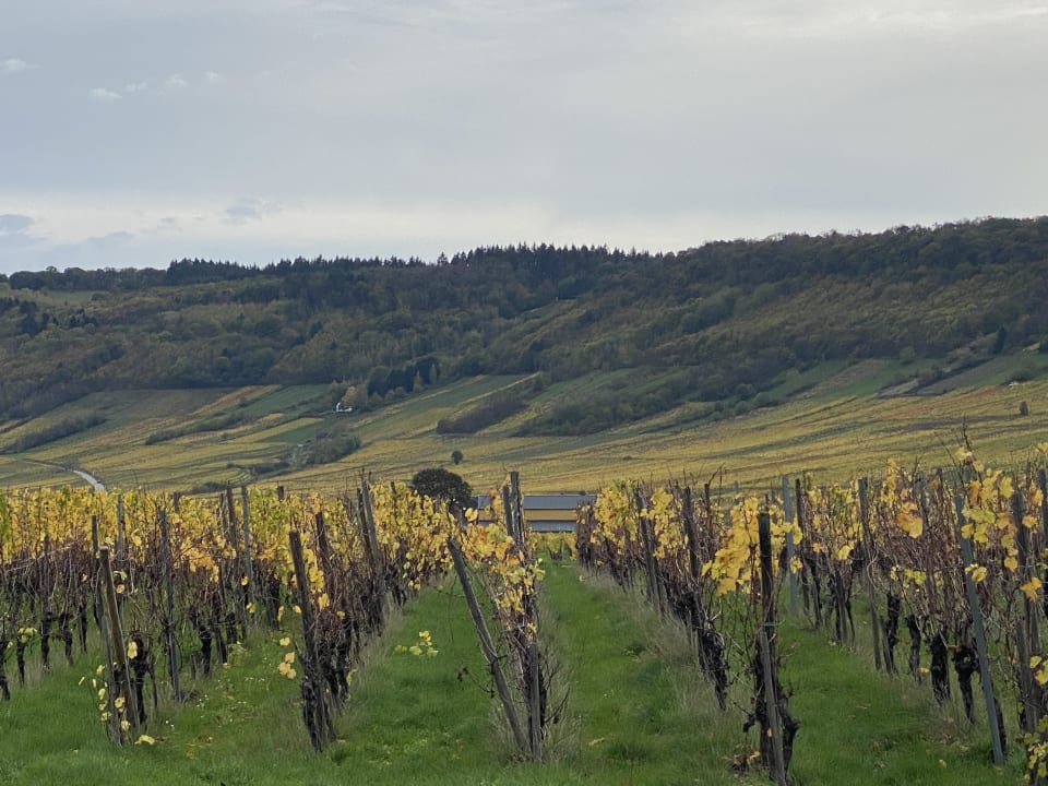 Außenansicht Eurostrand Resort Moseltal