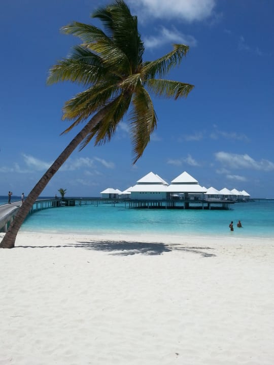 Wasserbungalows Diamonds Thudufushi