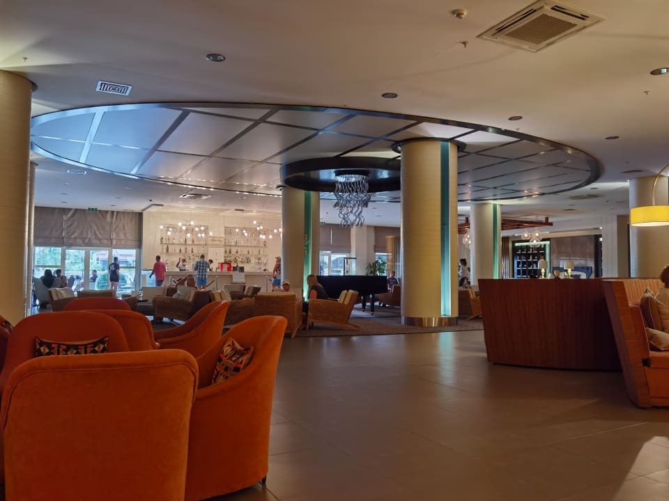 Gastro Paloma Oceana